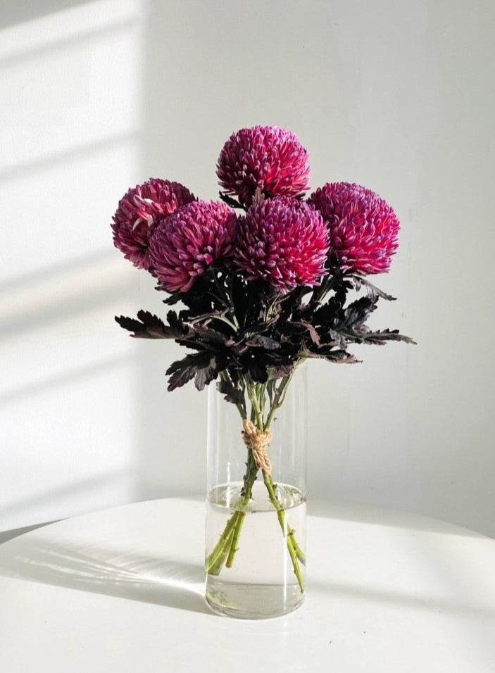 Chrysanthemum Bunch