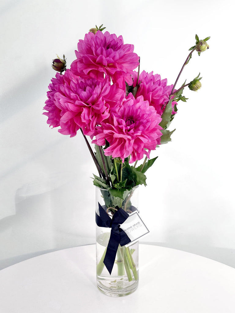 Dahlia Bunch