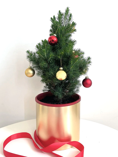 Mini Christmas Tree